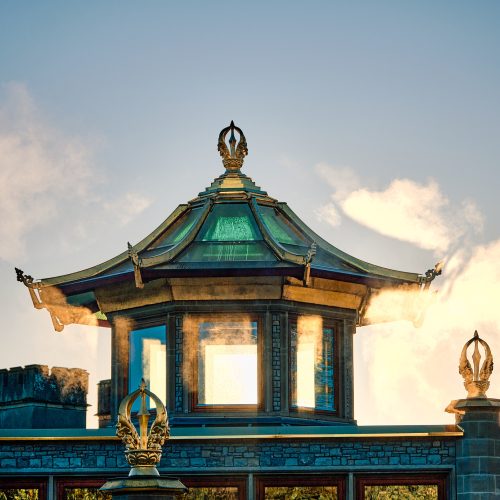 Manjushri_KMC-ROBI4647