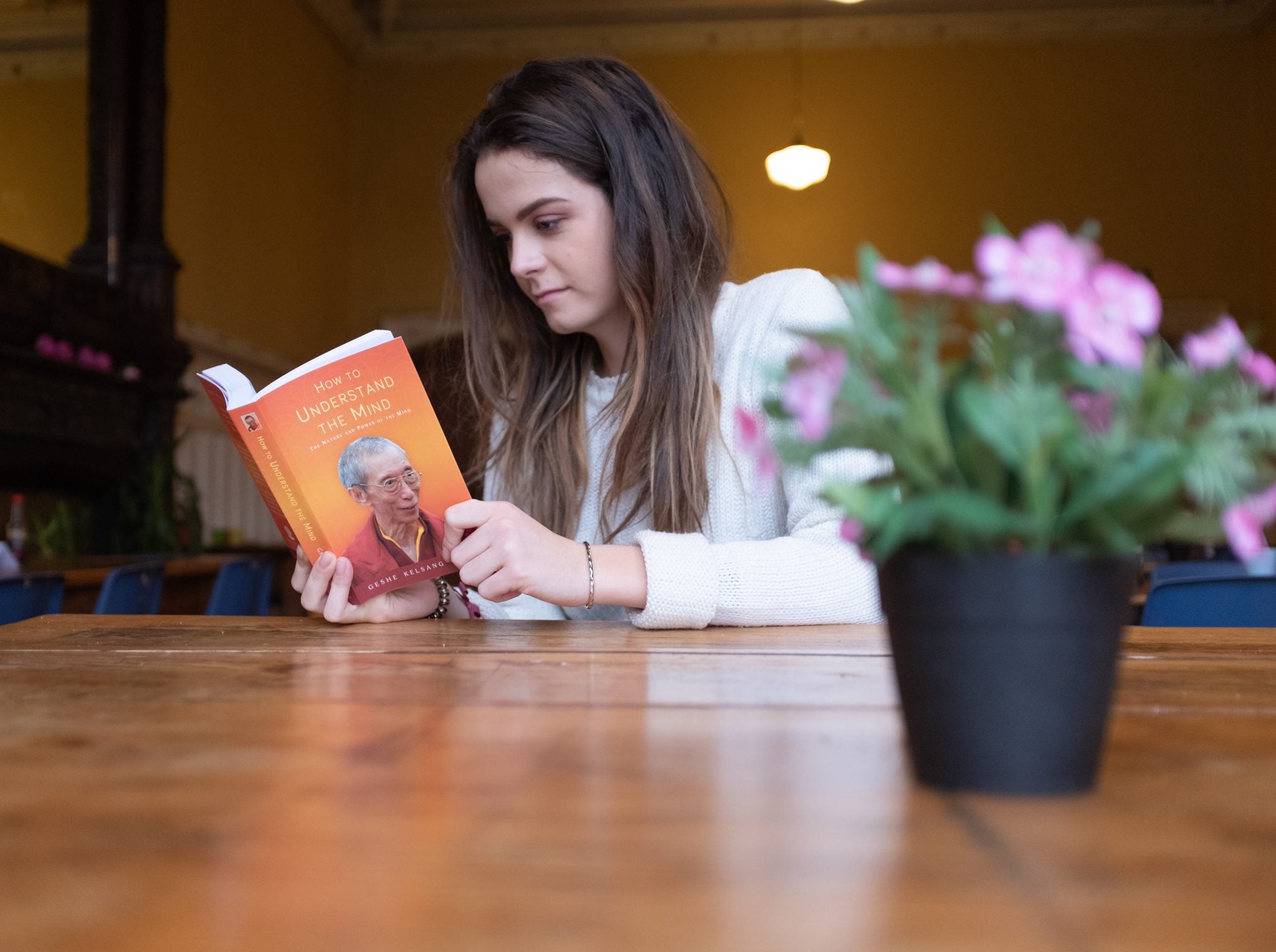 understanding the mind book