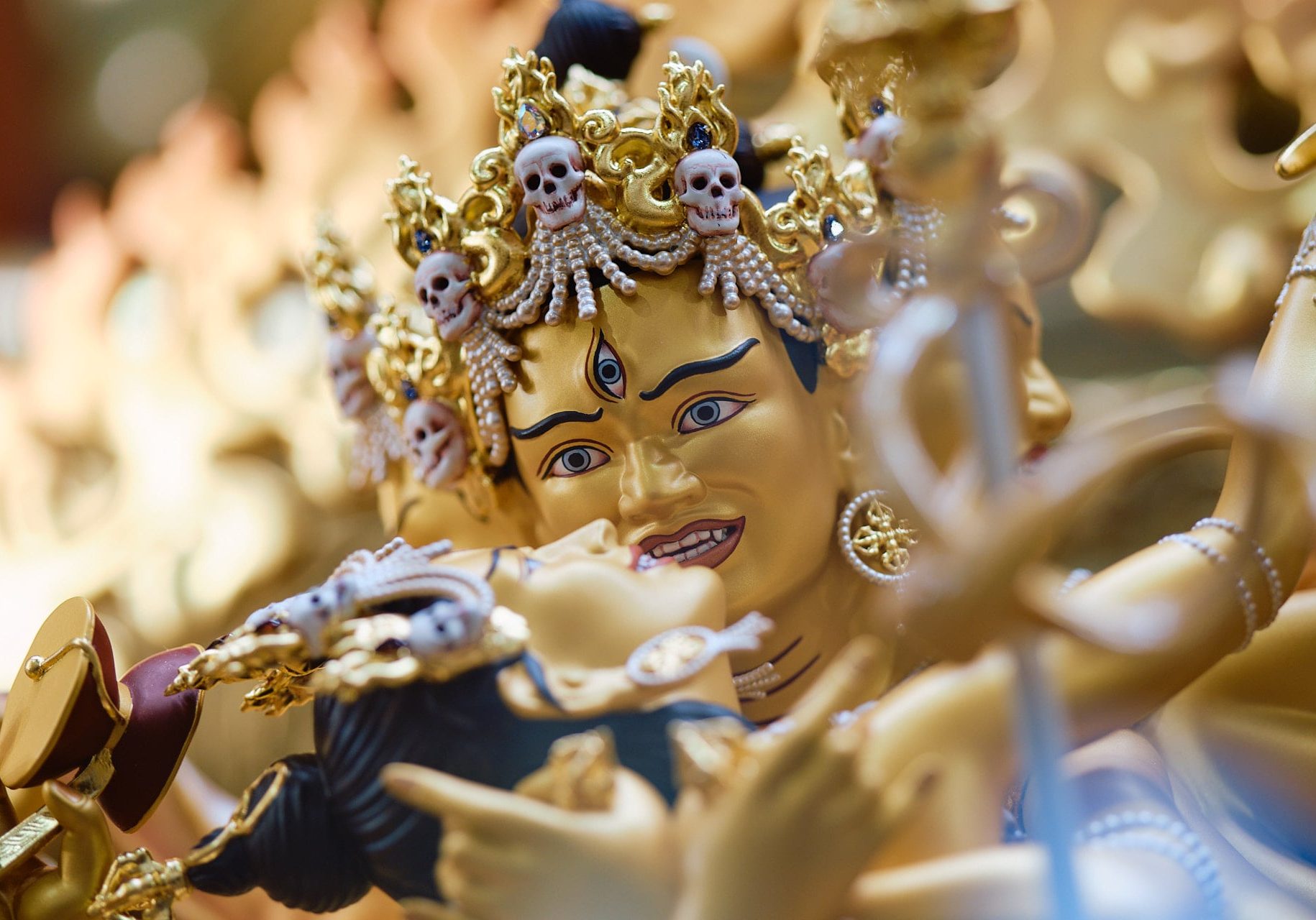 Manjushri KMC - ROBI0409