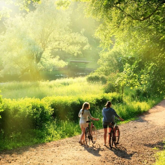 fietsen-wandelen-scaled (1)